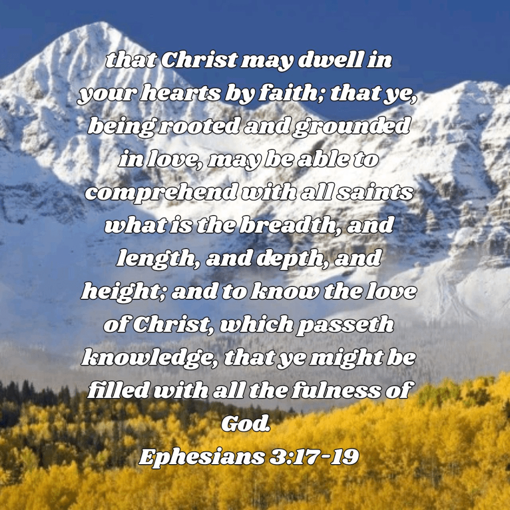 Prayer of Thanksgiving for the love Jesus shown when He chose to take our sins upon Himself and die in our&nbsp;place.